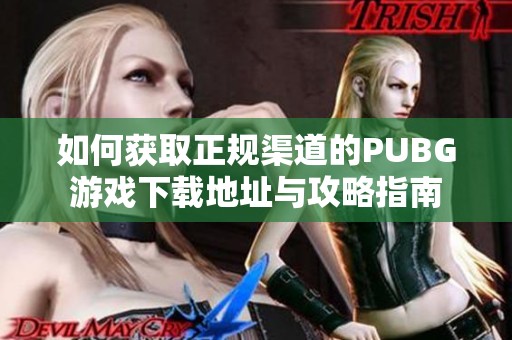 如何获取正规渠道的PUBG游戏下载地址与攻略指南