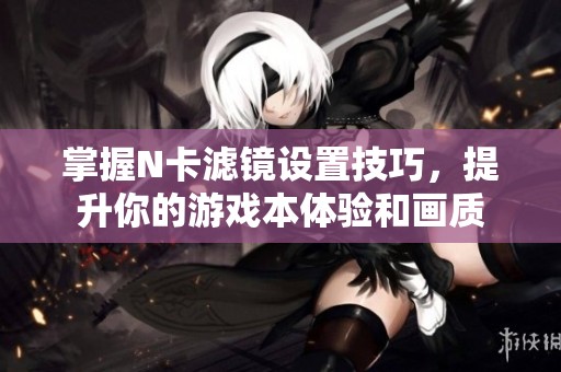 掌握N卡滤镜设置技巧，提升你的游戏本体验和画质