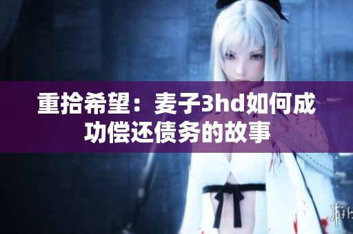 重拾希望：麦子3hd如何成功偿还债务的故事