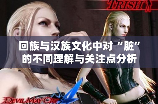 回族与汉族文化中对“脏”的不同理解与关注点分析