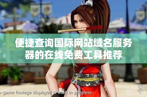 便捷查询国际网站域名服务器的在线免费工具推荐