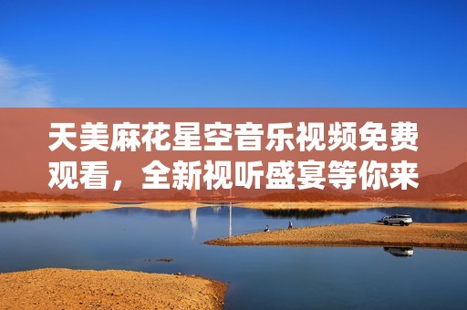 天美麻花星空音乐视频免费观看，全新视听盛宴等你来享受