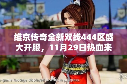 维京传奇全新双线444区盛大开服，11月29日热血来袭