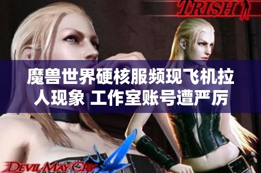 魔兽世界硬核服频现飞机拉人现象 工作室账号遭严厉封禁