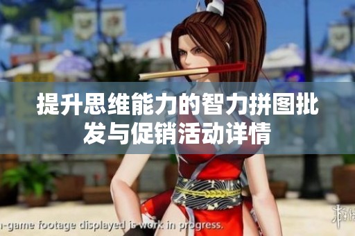 提升思维能力的智力拼图批发与促销活动详情