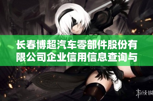长春博超汽车零部件股份有限公司企业信用信息查询与分析