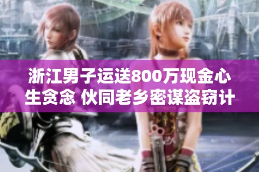 浙江男子运送800万现金心生贪念 伙同老乡密谋盗窃计划