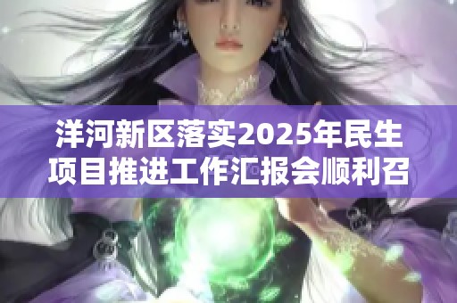 洋河新区落实2025年民生项目推进工作汇报会顺利召开