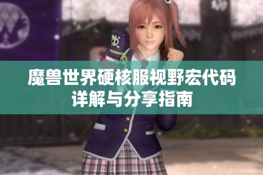 魔兽世界硬核服视野宏代码详解与分享指南