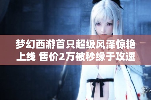 梦幻西游首只超级风泽惊艳上线 售价2万被秒缘于攻速优势