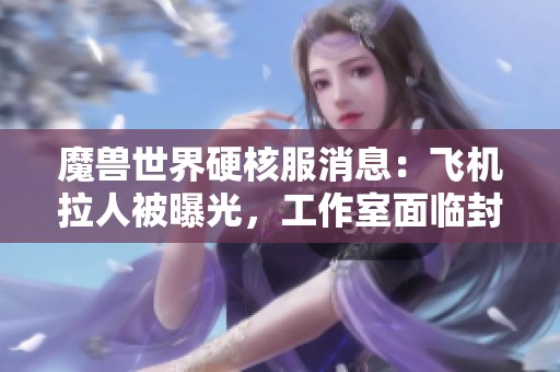 魔兽世界硬核服消息：飞机拉人被曝光，工作室面临封号危机