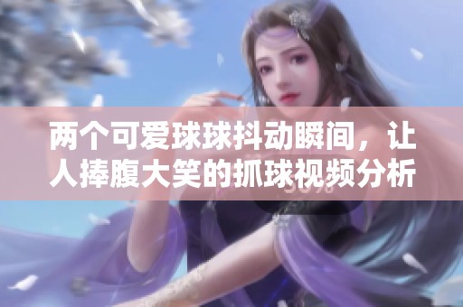 两个可爱球球抖动瞬间，让人捧腹大笑的抓球视频分析