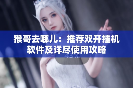 猴哥去哪儿：推荐双开挂机软件及详尽使用攻略