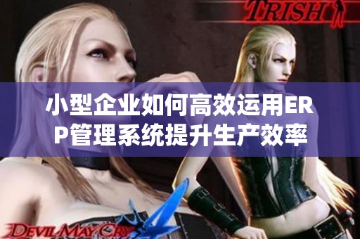 小型企业如何高效运用ERP管理系统提升生产效率