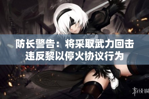 防长警告：将采取武力回击违反黎以停火协议行为