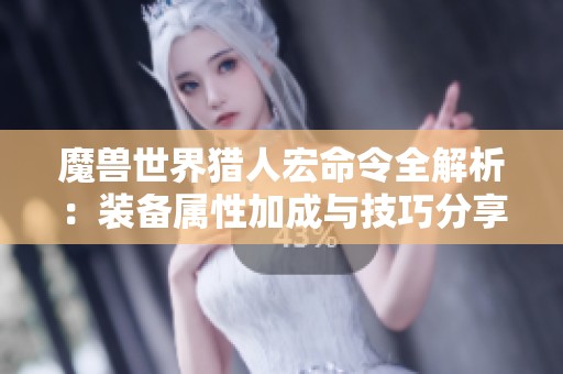 魔兽世界猎人宏命令全解析：装备属性加成与技巧分享