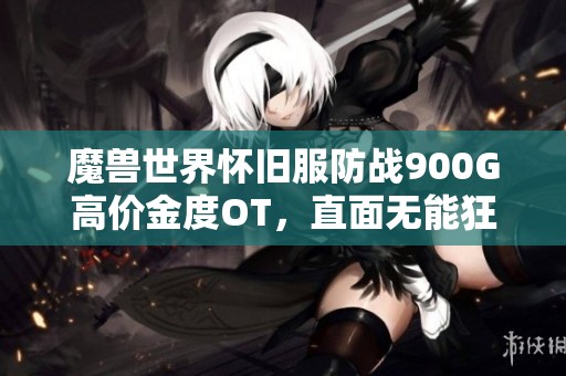 魔兽世界怀旧服防战900G高价金度OT，直面无能狂怒的挑战