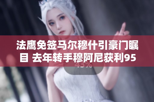 法鹰免签马尔穆什引豪门瞩目 去年转手穆阿尼获利9500万