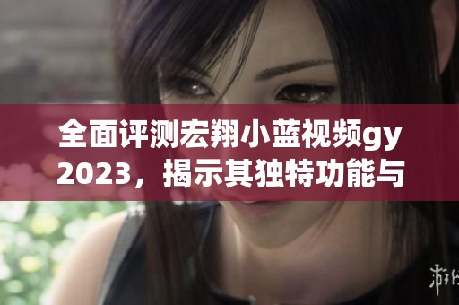全面评测宏翔小蓝视频gy2023，揭示其独特功能与用户体验