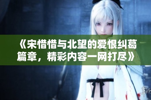 《宋惜惜与北望的爱恨纠葛篇章，精彩内容一网打尽》