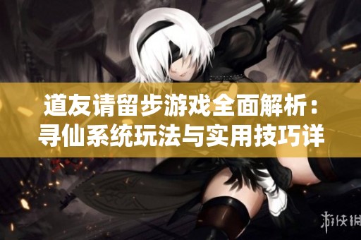 道友请留步游戏全面解析：寻仙系统玩法与实用技巧详解