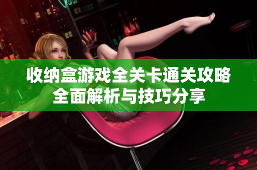 收纳盒游戏全关卡通关攻略全面解析与技巧分享
