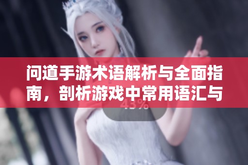 问道手游术语解析与全面指南，剖析游戏中常用语汇与概念
