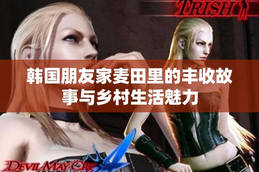 韩国朋友家麦田里的丰收故事与乡村生活魅力