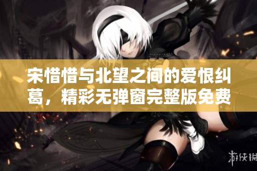 宋惜惜与北望之间的爱恨纠葛，精彩无弹窗完整版免费阅读