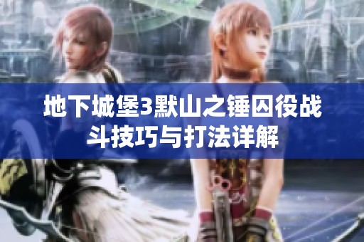 地下城堡3默山之锤囚役战斗技巧与打法详解