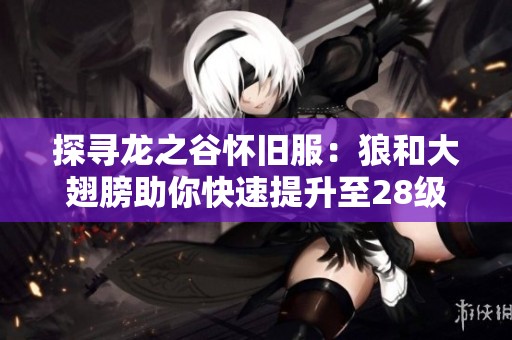 探寻龙之谷怀旧服：狼和大翅膀助你快速提升至28级!