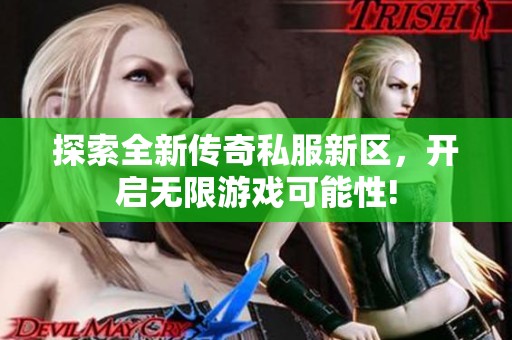 探索全新传奇私服新区，开启无限游戏可能性!