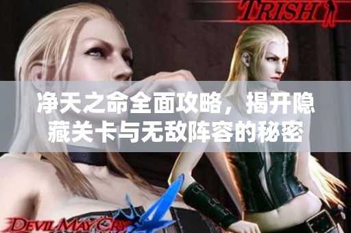 净天之命全面攻略，揭开隐藏关卡与无敌阵容的秘密