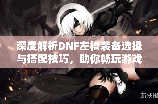 深度解析DNF左槽装备选择与搭配技巧，助你畅玩游戏