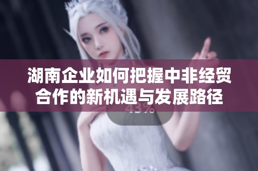 湖南企业如何把握中非经贸合作的新机遇与发展路径
