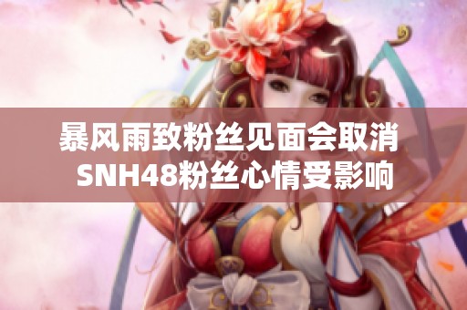 暴风雨致粉丝见面会取消 SNH48粉丝心情受影响