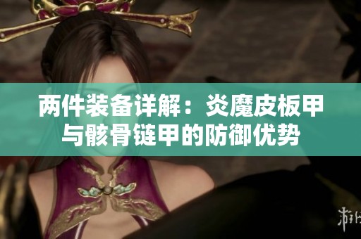 两件装备详解：炎魔皮板甲与骸骨链甲的防御优势