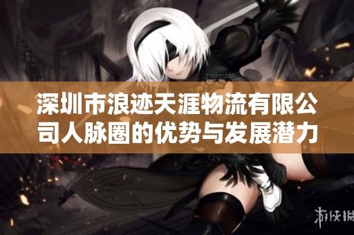 深圳市浪迹天涯物流有限公司人脉圈的优势与发展潜力分析