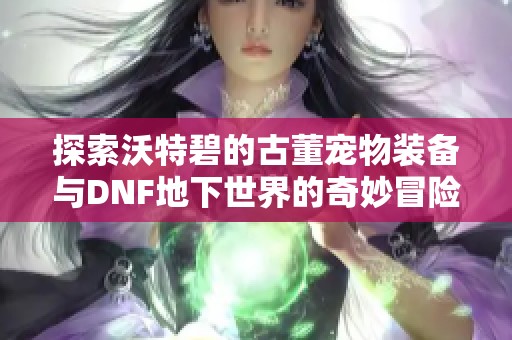 探索沃特碧的古董宠物装备与DNF地下世界的奇妙冒险之旅