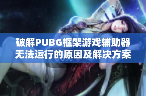 破解PUBG框架游戏辅助器无法运行的原因及解决方案