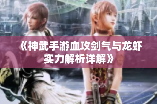 《神武手游血攻剑气与龙虾实力解析详解》