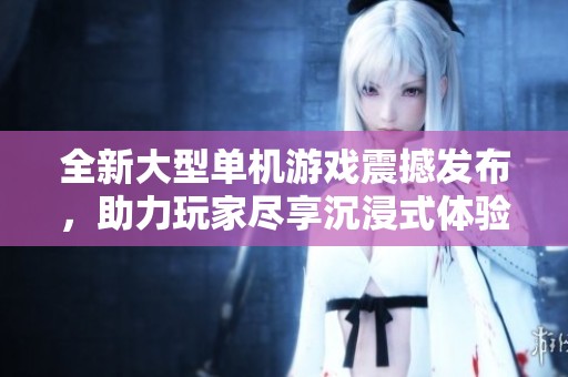全新大型单机游戏震撼发布，助力玩家尽享沉浸式体验