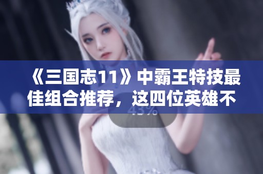 《三国志11》中霸王特技最佳组合推荐，这四位英雄不可错过