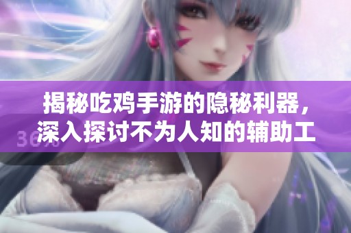 揭秘吃鸡手游的隐秘利器，深入探讨不为人知的辅助工具