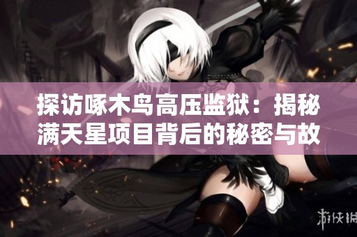 探访啄木鸟高压监狱：揭秘满天星项目背后的秘密与故事