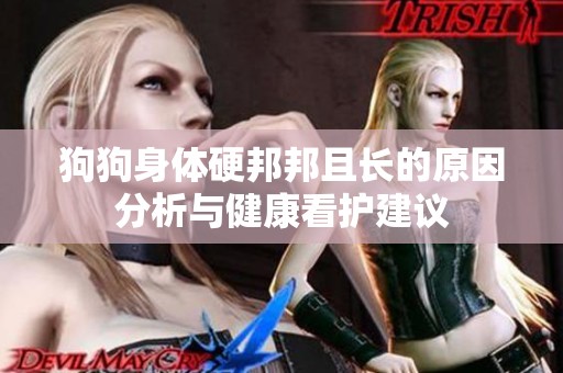 狗狗身体硬邦邦且长的原因分析与健康看护建议
