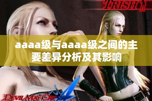 aaaa级与aaaa级之间的主要差异分析及其影响