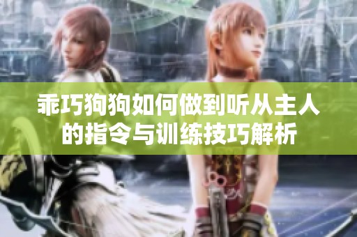 乖巧狗狗如何做到听从主人的指令与训练技巧解析
