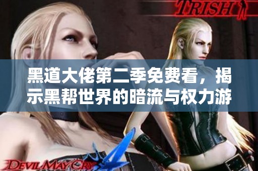 黑道大佬第二季免费看，揭示黑帮世界的暗流与权力游戏