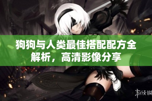 狗狗与人类最佳搭配配方全解析，高清影像分享